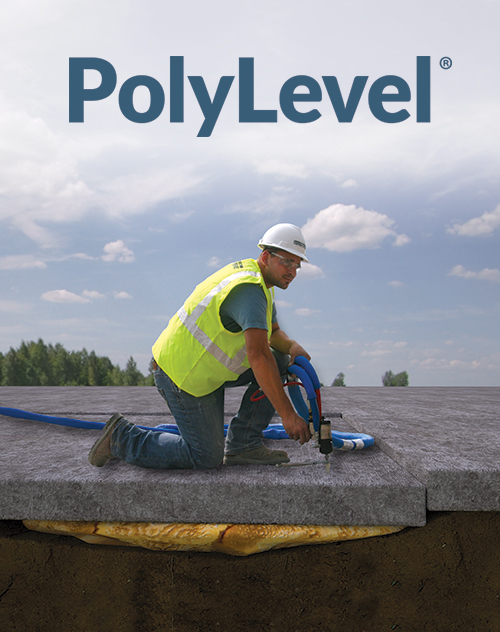 PolyLevel logo image
