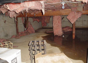 fiberglass insulation dripping off the ceiling of a crawl space in Layton.