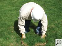 Restoring the landscaping by replacing removed sod on the ground for a Orem home.