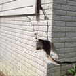 foundation walls cracked due to settlement in Salt Lake City