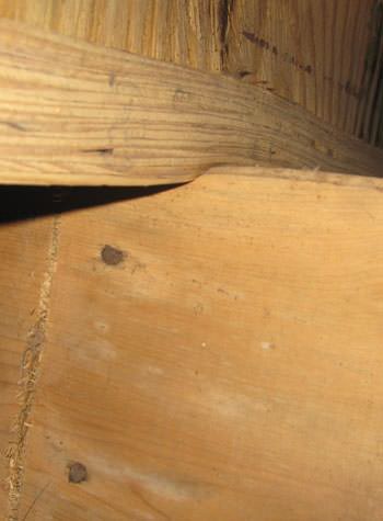 severe damage to a crawl space structure in a Layton home