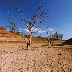 Dry, cracked, shrinking clay foundation soils