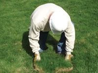 Restoring the landscaping by replacing removed lawn sections for a West Jordan home.