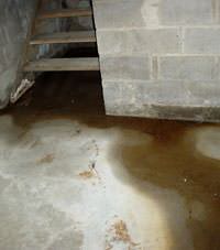 Flooding floor cracks by a hatchway door in Centerville