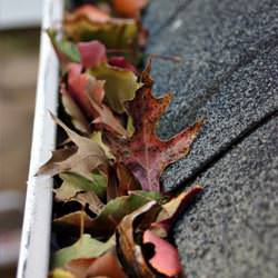 Clogged gutters filled with fall leaves  in Brigham City