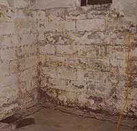 Peeling, Chipping, Basement Wall Coatings in Magna