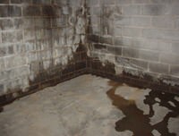 flooded basement with leaky basement walls in Springville, UT