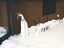 IceGuard® Installed Provo